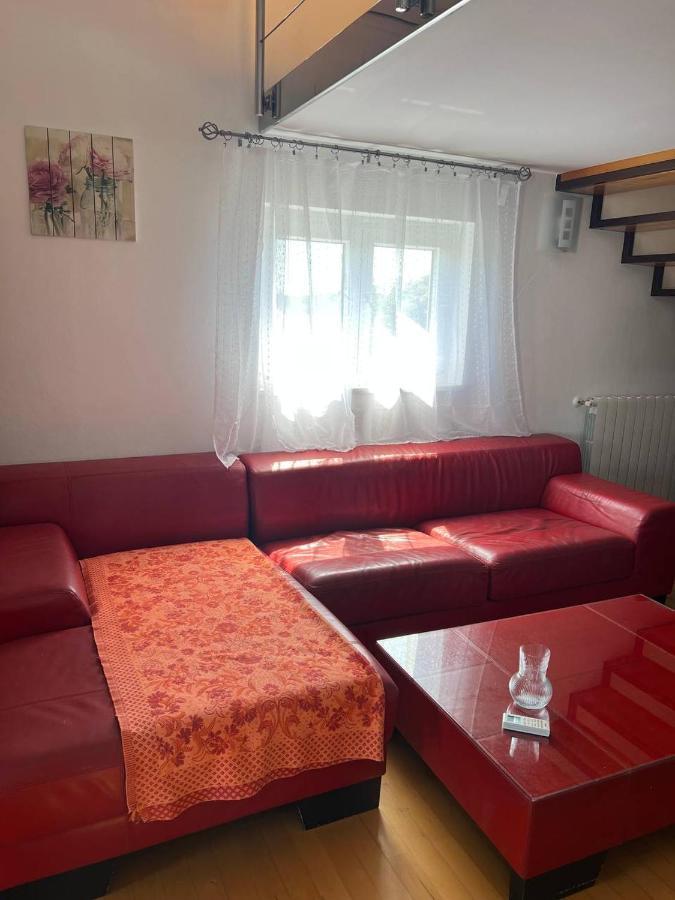 Domus Maria With Swimming Pool And Free Parking Villa Banjole Exterior photo