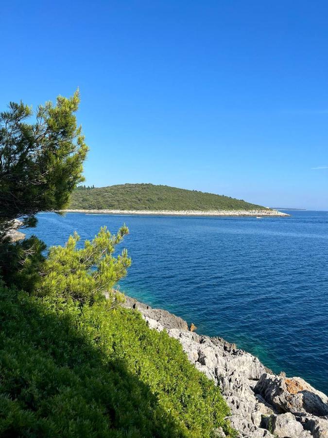 Domus Maria With Swimming Pool And Free Parking Villa Banjole Exterior photo